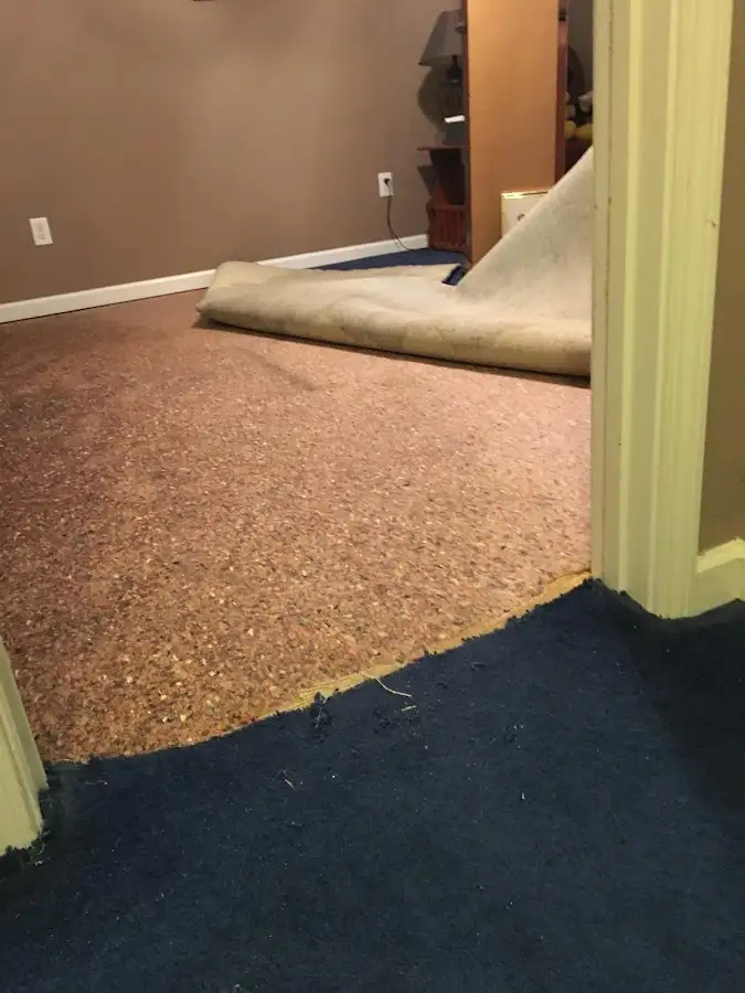 Carpet pad removal revealing water damage during Water Mitigation Services in Bethesda