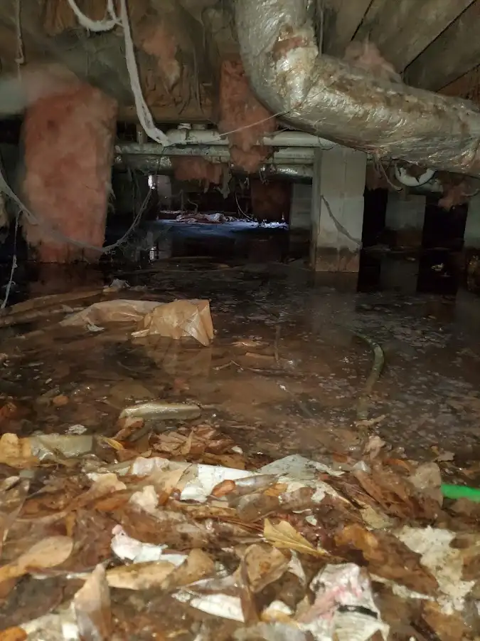 Crawl space flood assessment for Commercial Water Damage Restoration in Bethesda